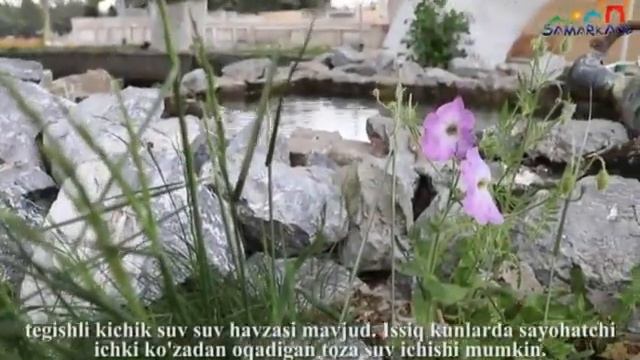 Онлайн экскурсия по комплексу Ходжа Ахрор Вали в Самарканде. смотреть онлайн