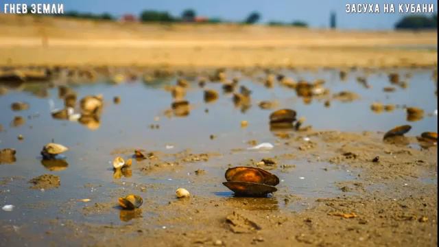 Краснодарское водохранилище пересохло (анамалия 2020год) смотреть онлайн