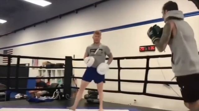 ЗАСТАВИТ ОПРАВДЫВАТЬСЯ? Шон О'Мэлли vs Томас Алмейда / Прогноз к UFC 260 смотреть онлайн