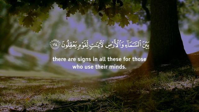 Surah Al Baqarah FULL! سورة البقرة كامل للقارئ عمر هشام العربي смотреть онлайн