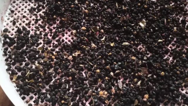 Мастерство и Смысл Жизни