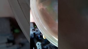 замена масла форд транзит 2,5дизель