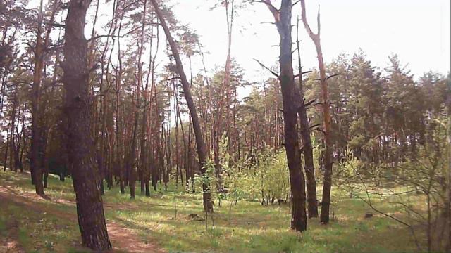 Апрельская Пасхальная прогулка на озеро за станцией обезжелезования 28.04.19. Часть 1 смотреть онлайн