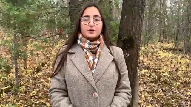 Шакирьянова Диана Радиковна, 15-18 лет смотреть онлайн