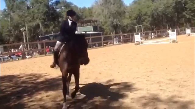 Sec show 2/15/14 Elisa and Dublin смотреть онлайн