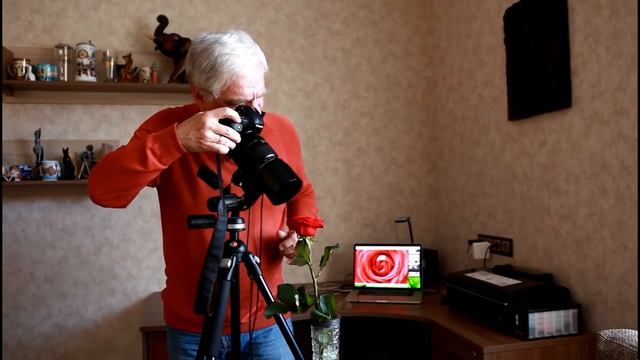 Макросъёмка цветов и капель. Фрагмент из курса Владимира Сковородникова. смотреть онлайн