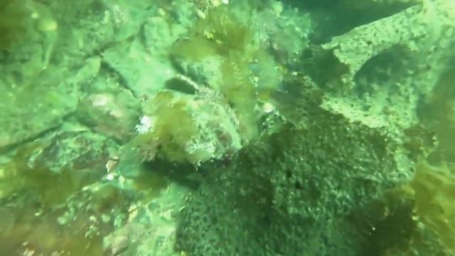 Под водой смотреть онлайн
