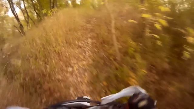 Moto Life 2015