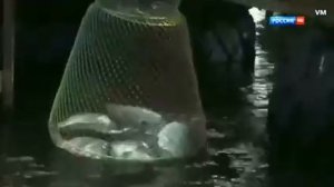 СЕРГЕЙ КУРЕНКОВ ДОРОГА