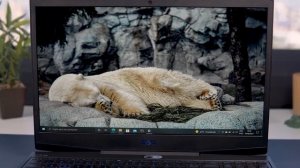 DELL G3 15 3500 // ИГРОВОЙ НОУТБУК // ОБЗОР // МНЕНИЕ