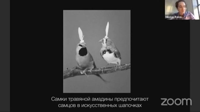 Лекция Николая Кукушкина «Человек как две формы жизни» — "Химия слова" смотреть онлайн