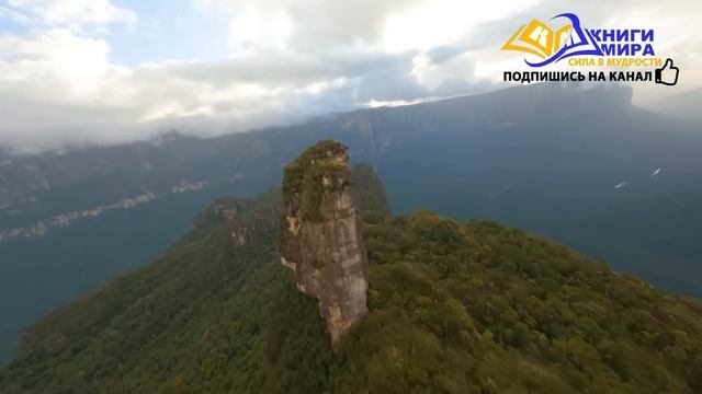 Как Просветленному Достигнуть Максимальной Стадии Духовного Развития?! l НИКОШО и Роберт Адамс смотреть онлайн