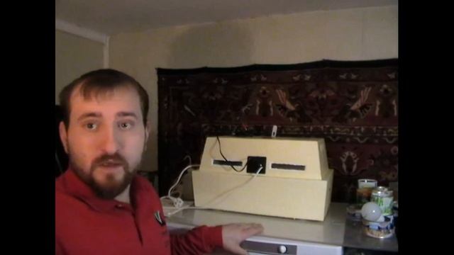 Инкубация перепелов без переворота. ( инкубатор золушка ) смотреть онлайн
