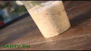 Размножение растений / Укореняем черенки в стакане с вермикулитом