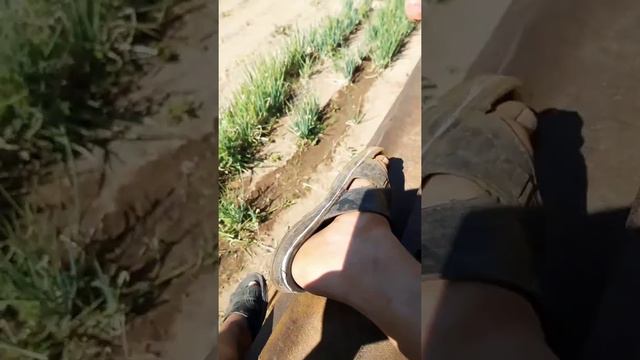 сидим в бочке на даче(моря что так мало и плохо просто это моё первое видео) смотреть онлайн