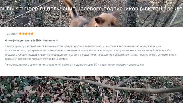 Отзывы smmapp.ru получение целевого подписчиков в вк лайк реклама смотреть онлайн