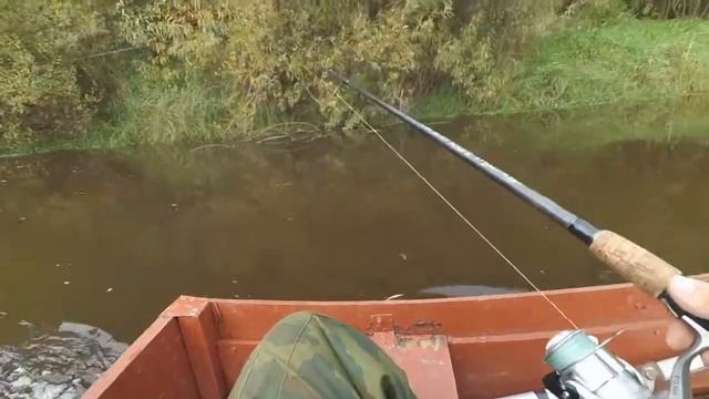 Рыбалка по большой воде.Река Вохма. Сентябрь 2017 смотреть онлайн