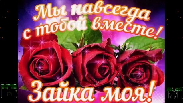 Стих ★Я обнимаю,и люблю★ 14.10.2022 смотреть онлайн