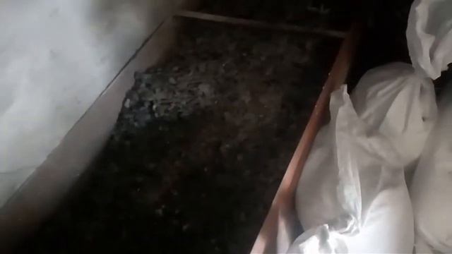 как и чем кормлю своих буренок смотреть онлайн
