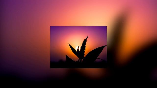 x50 - 2017 смотреть онлайн