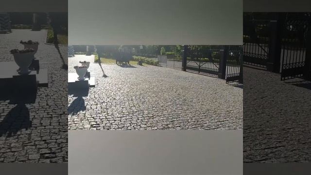 How to cross a street Наскальные рисунки?правила дорожного движения для чайников смотреть онлайн