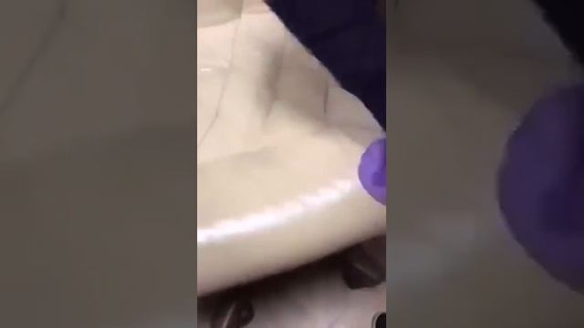 Чем отмыть кожаную мебель? Инволвер Гринвей вам в помощь! смотреть онлайн