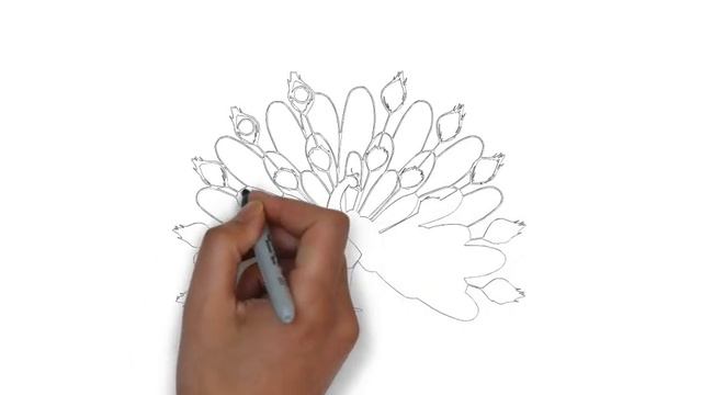 как нарисовать павлина, how to draw a peacock смотреть онлайн
