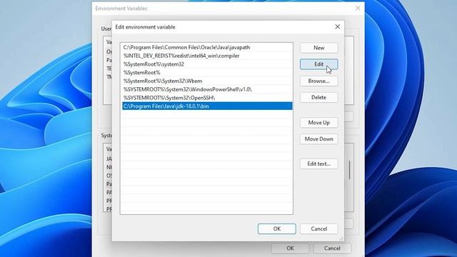How To Download & Install Jenkins On Windows 11 смотреть онлайн