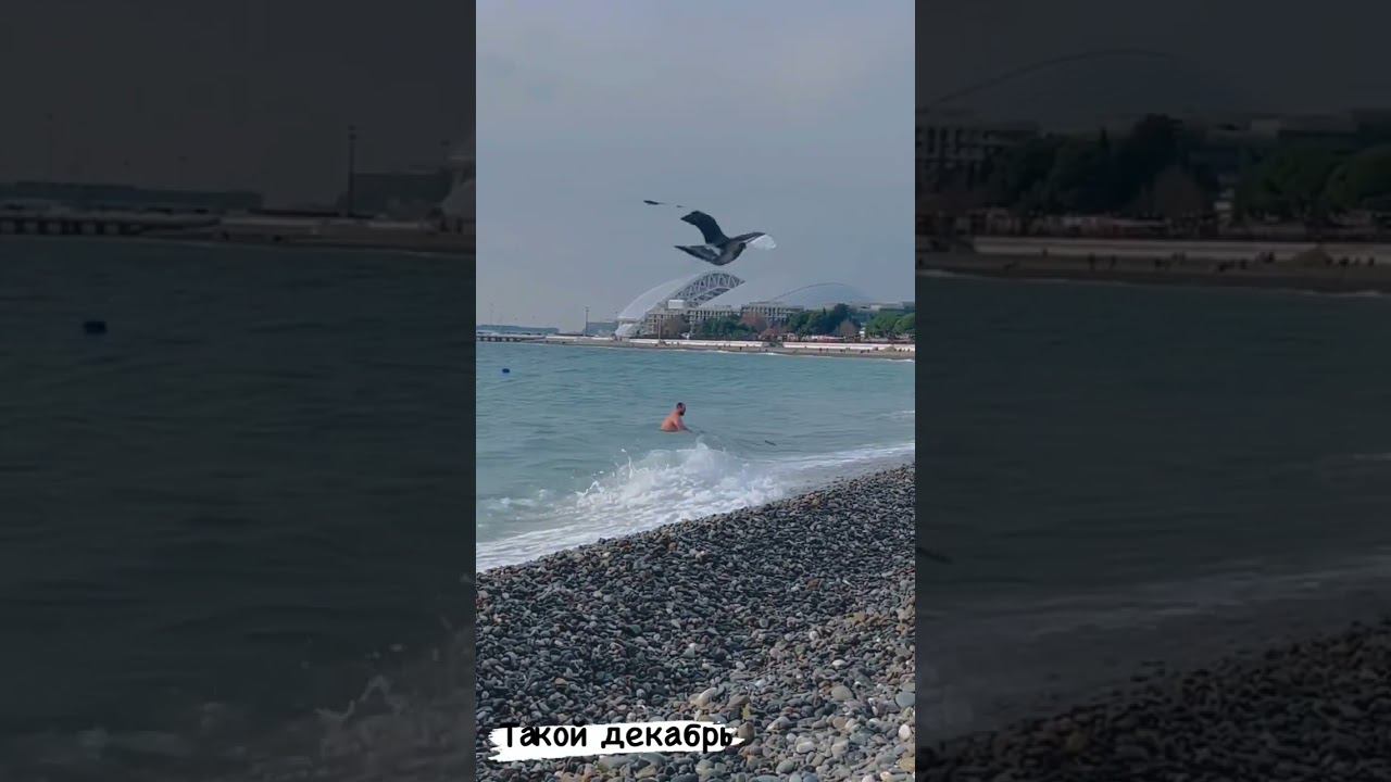 10.12.22 г. Коротко о погоде сегодня. Температура воздуха днем до +16 градусов тепла #shorts #сочи смотреть онлайн