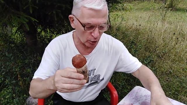 VID_20230607_185414_338.mp4