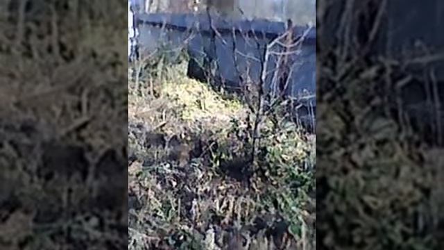 ландшафтный дизайн 2014 смотреть онлайн
