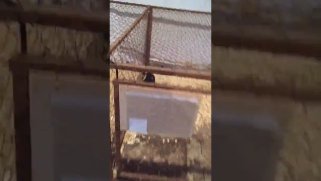 Пункт передержки август 2 смотреть онлайн