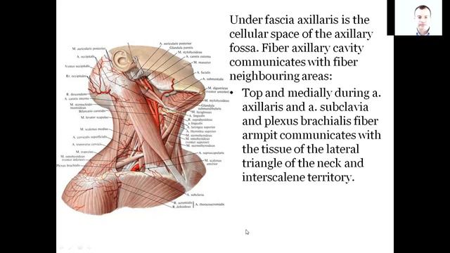 Topographic Anatomy Lecture 2