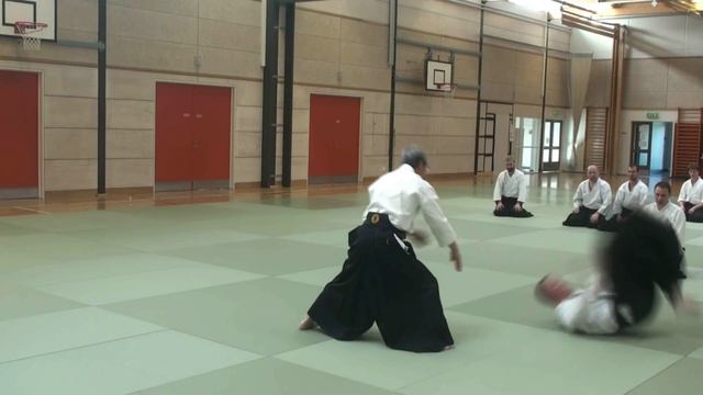 10 Айдори Дзёдан Удекименаге