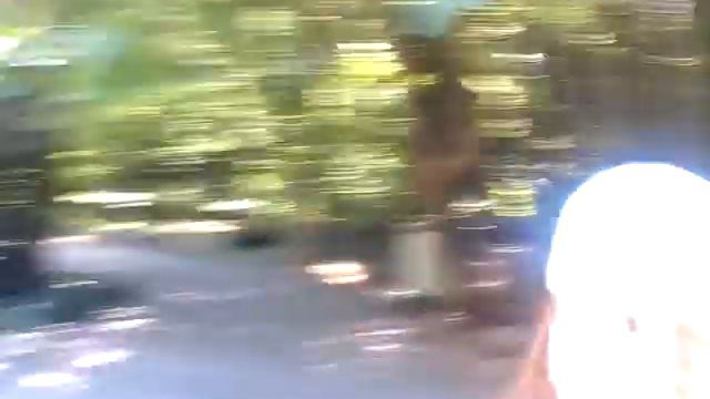 Дендрарий Сочи смотреть онлайн