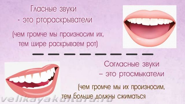 Гласные и согласные звуки в русском языке смотреть онлайн