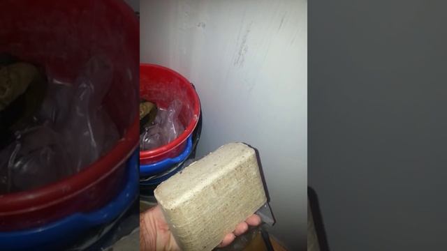 Котлы электро и дровянной в одном контуре теплого пола смотреть онлайн