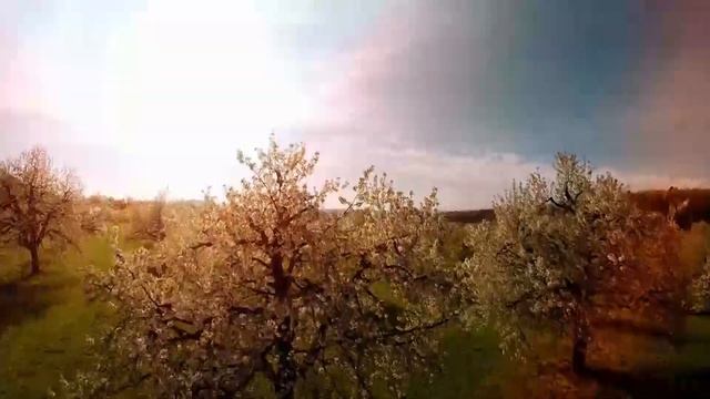 Пасслабляющая музыка, которая поможет вам уснуть, глубокий сон, внутренний мир #2 смотреть онлайн