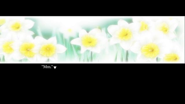 The Emerald Sea | FINALE | Narcissu Playthrough |Cyn Let's Play Visual Novel смотреть онлайн