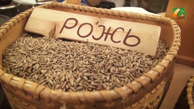 Выставка урожая в Царьграде смотреть онлайн