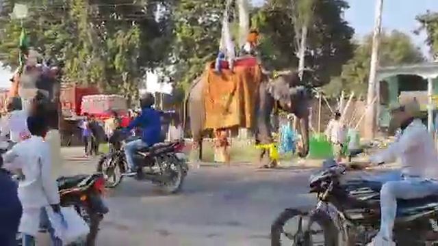 Shahi juloos Dubagga 2019(2) смотреть онлайн