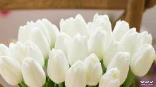 Иман Бураева - Дахар