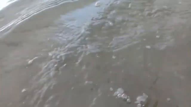 река Обь. смотреть онлайн