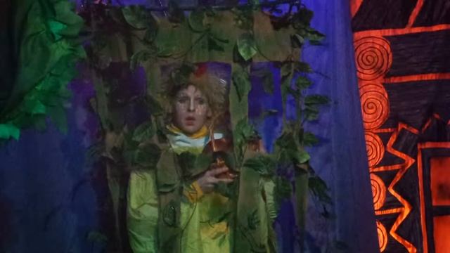 ЗОЛОТОЙ ЦЫПЛЕНОК фото Лобня театр 201502 смотреть онлайн