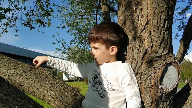 Пикник в парке. Рассказываю один из мифов древней Греции. смотреть онлайн