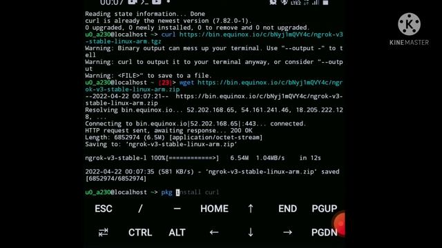 How to install ngrok on termux without any error.. смотреть онлайн