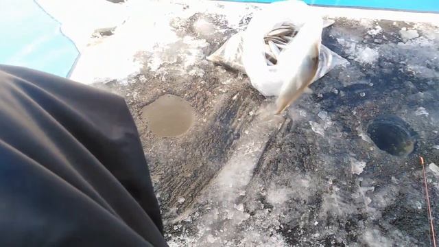 Рыбалка и отдых на Буссе. смотреть онлайн
