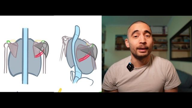 Drawing Shoulders Made Easy (3 Simple Shapes) смотреть онлайн