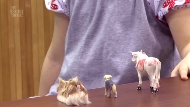 УЧИМСЯ ГОВОРИТЬ КРАСИВО . Для детей 3-4 лет смотреть онлайн