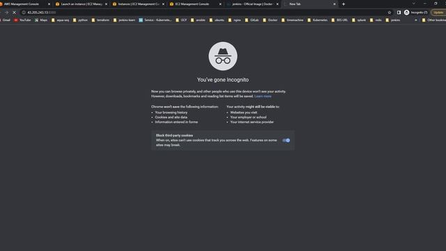 Installation of Jenkins as a Docker Container смотреть онлайн